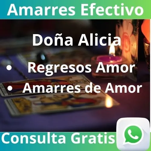 regresos efectivos
